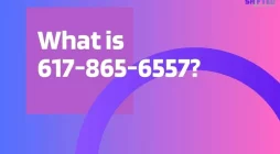 All You Need To Know About 617-865-6557